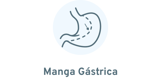 Manga Gástrica